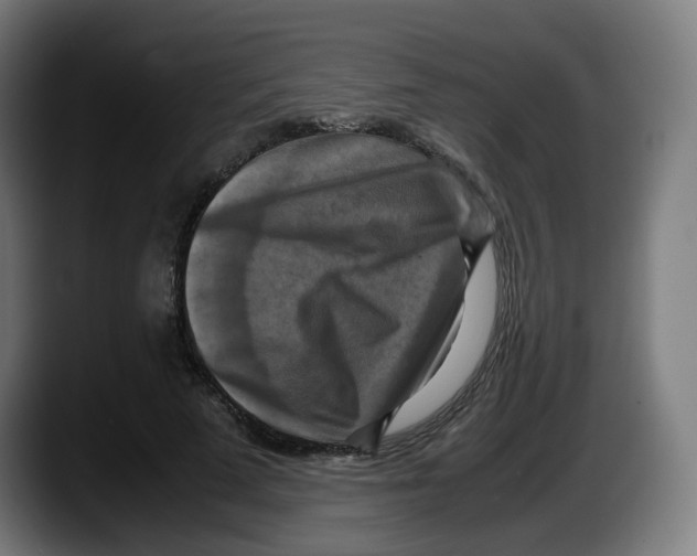 X0000087540689200705251720