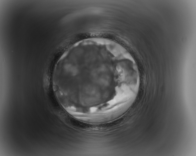 X0000087540691200705251720