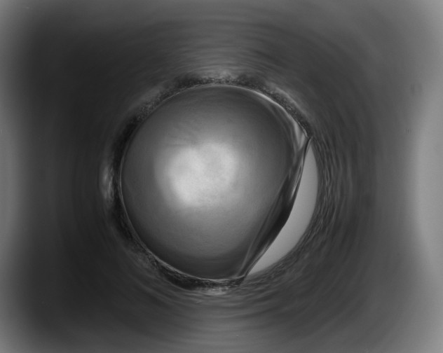 X0000087540692200705251720