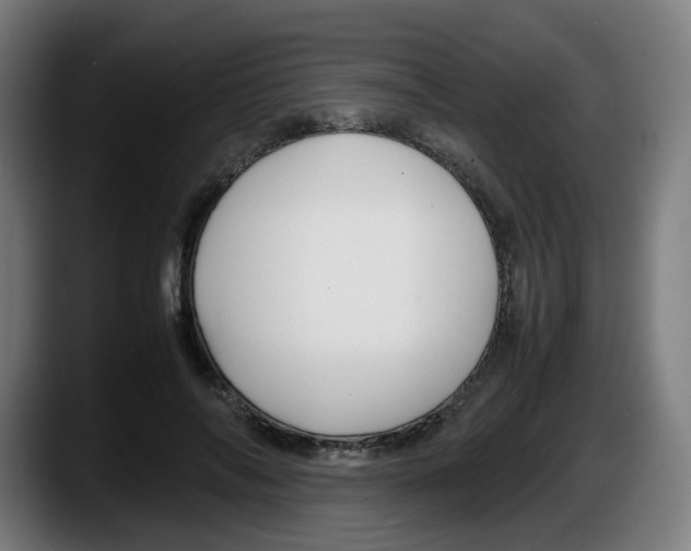 X0000087540694200705251720