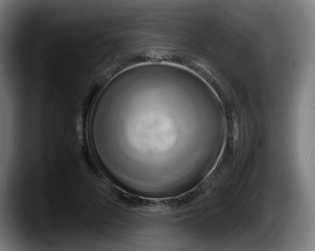 X0000087540696200705251720