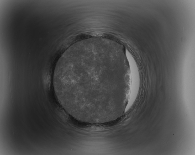 X0000087540697200705251720