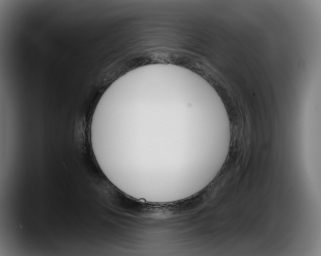 X0000087540702200705251720