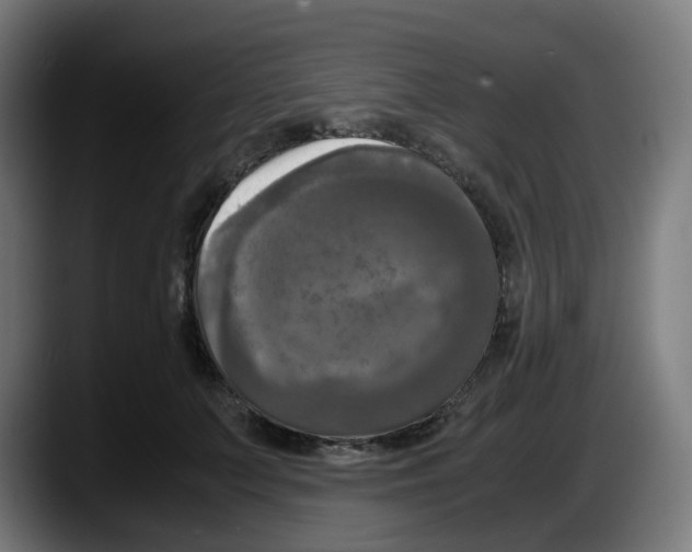 X0000087540703200705251720