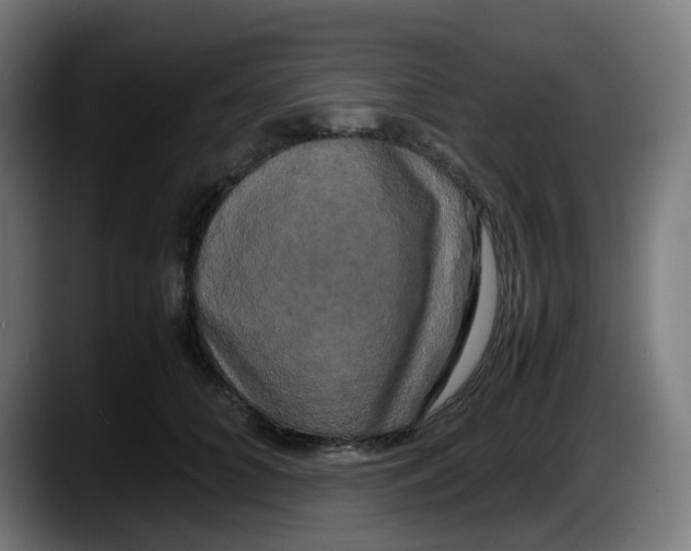 X0000087540704200705251720