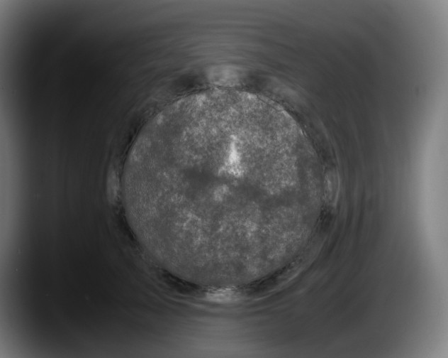 X0000087540705200705251720