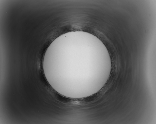 X0000087540706200705251720