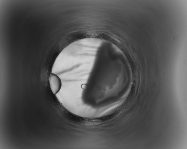 X0000087540707200705251720