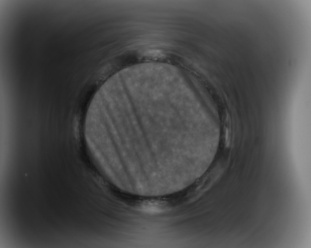 X0000087540708200705251720