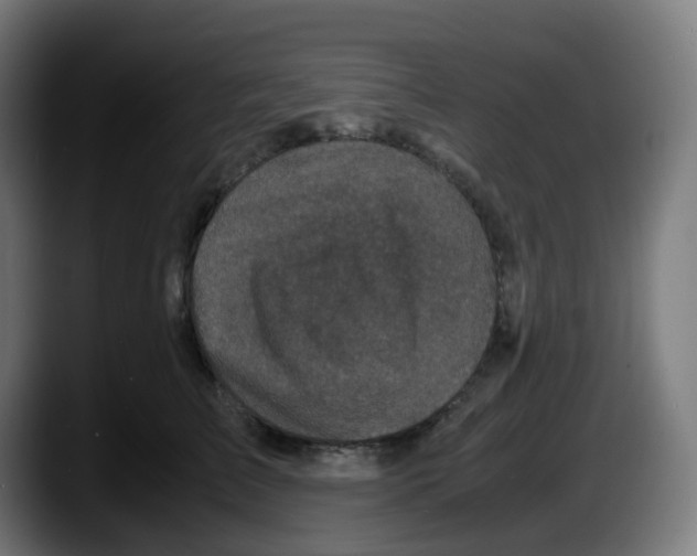 X0000087540709200705251720