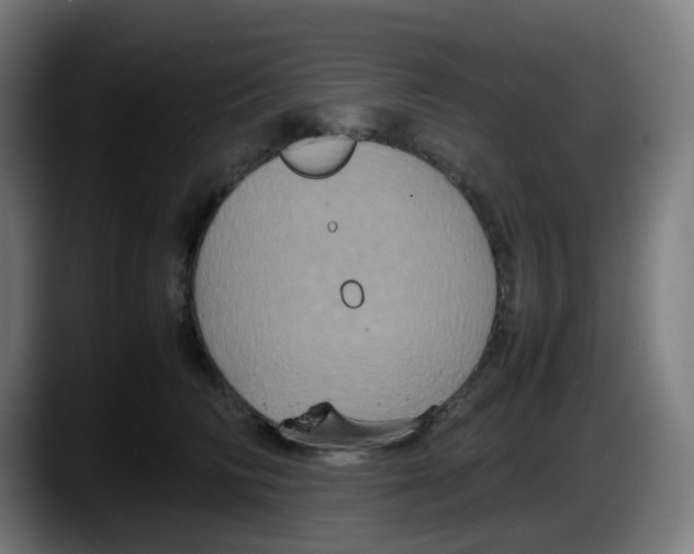 X0000087540710200705251720