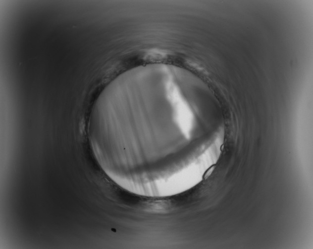 X0000087540711200705251720