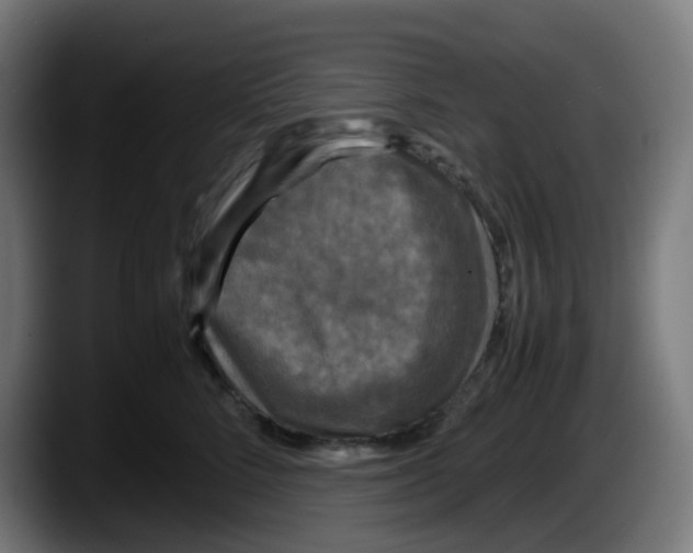 X0000087540712200705251720