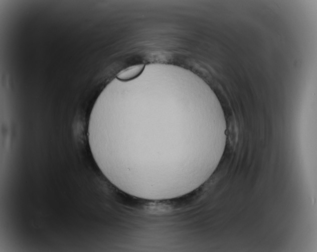 X0000087540714200705251720