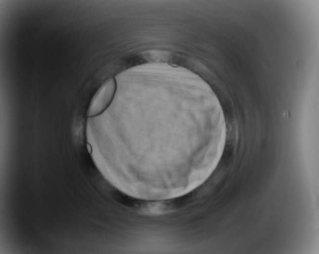 X0000087540717200705251720