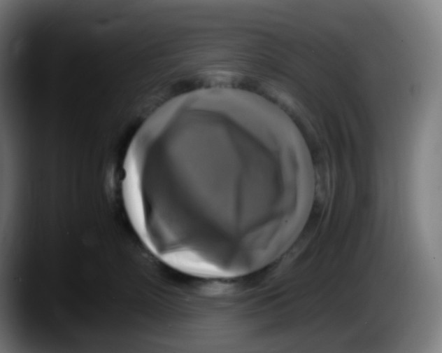 X0000087540718200705251720