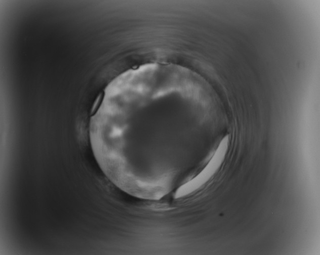 X0000087540719200705251720