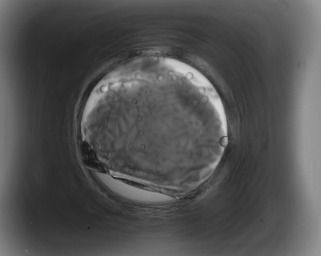 X0000087540721200705251719