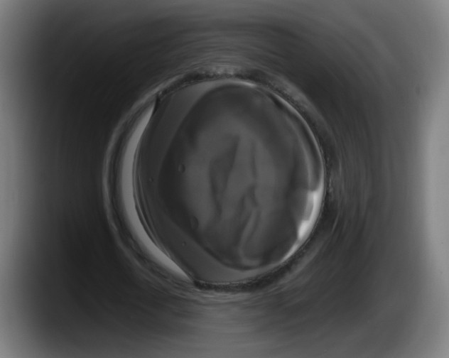 X0000087540722200705251719