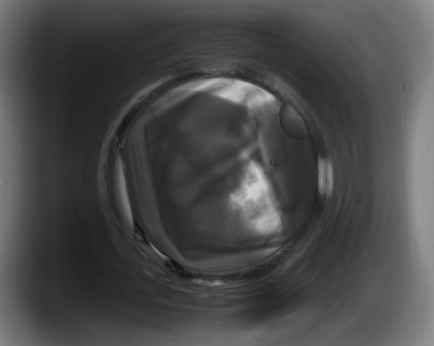 X0000087540723200705251719