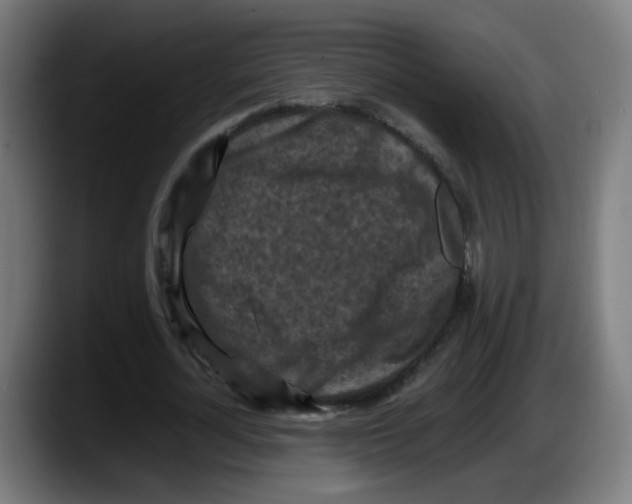 X0000087540724200705251719