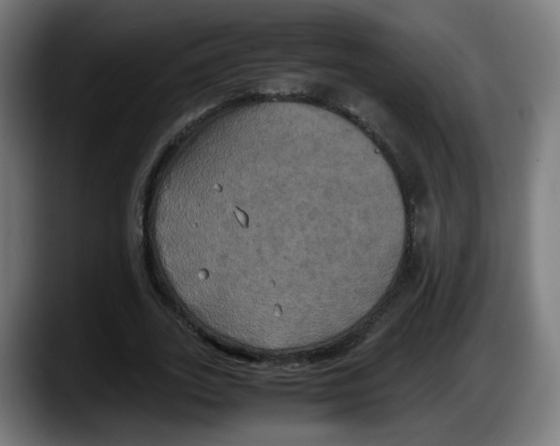 X0000087540727200705251719