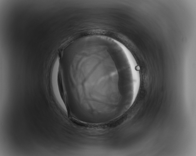 X0000087540729200705251719