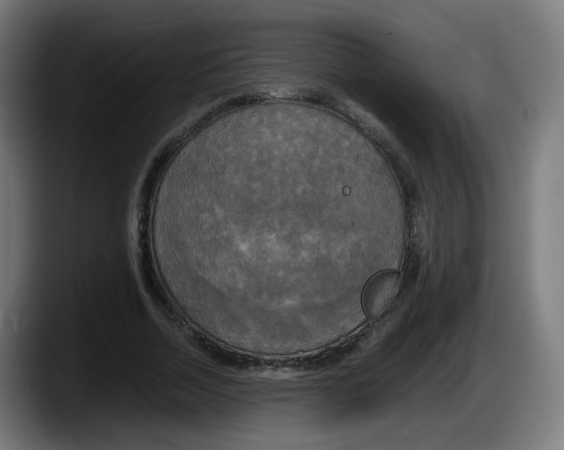 X0000087540730200705251719