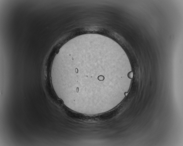 X0000087540731200705251719