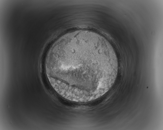 X0000087540734200705251719