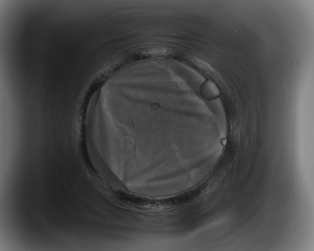 X0000087540735200705251719