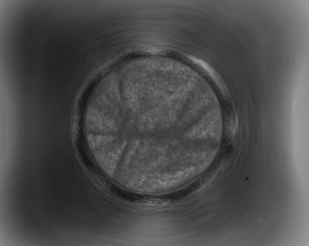 X0000087540736200705251719