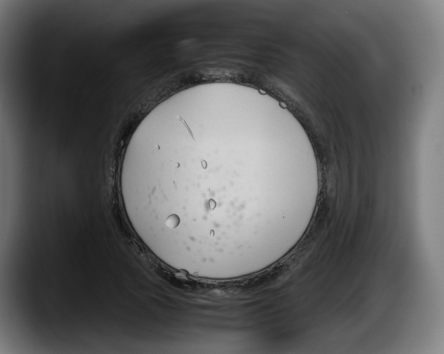 X0000087540737200705251719