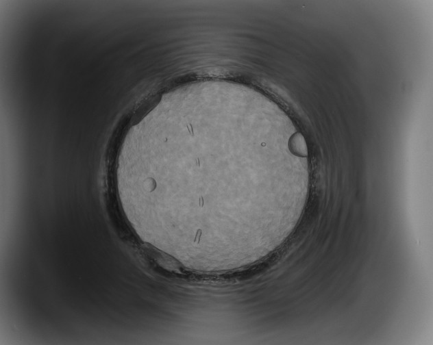 X0000087540738200705251719