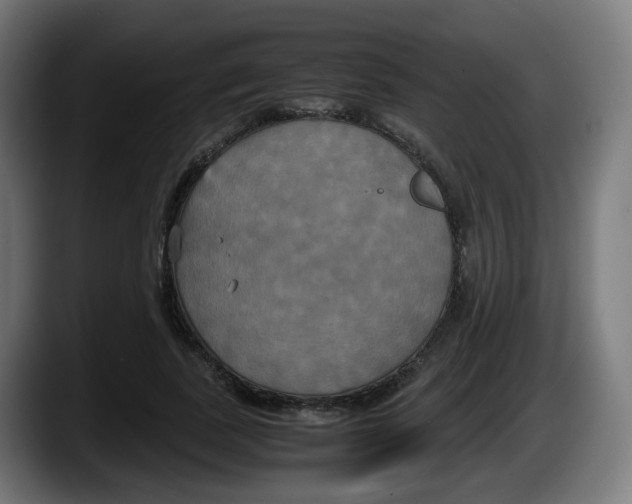 X0000087540739200705251719