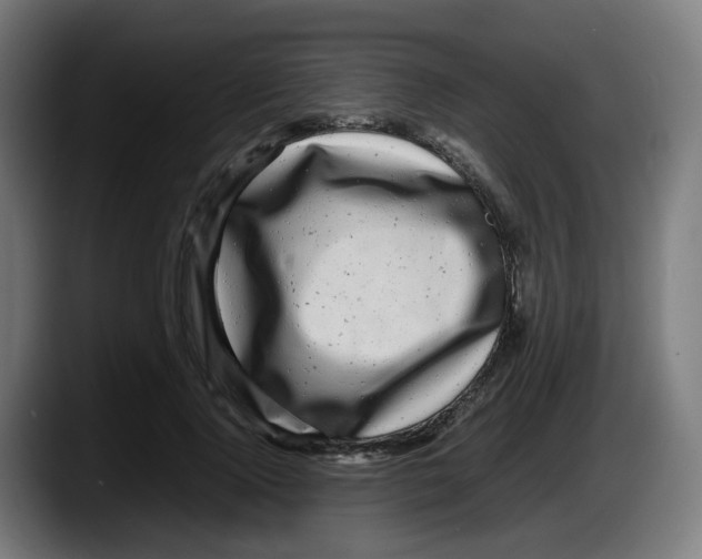 X0000087540740200705251719