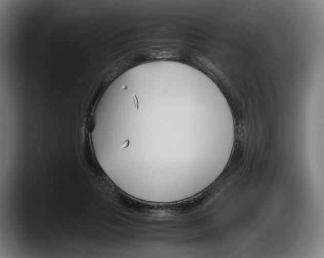 X0000087540741200705251719