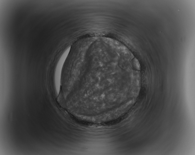 X0000087540742200705251719