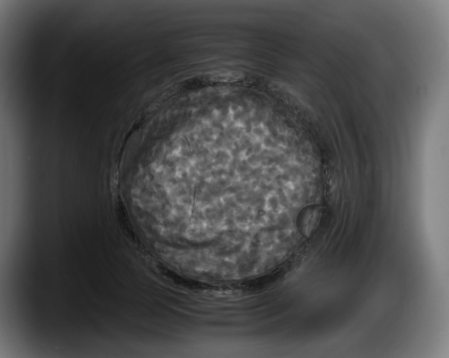 X0000087540745200705251719