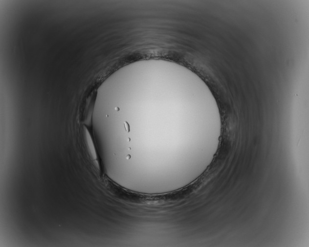 X0000087540746200705251719