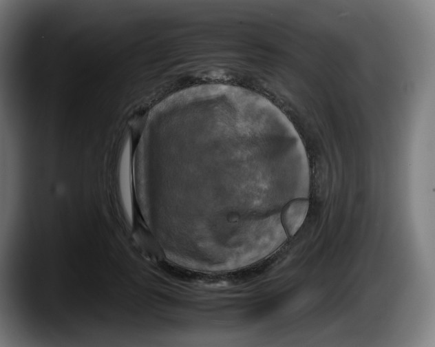 X0000087540747200705251719