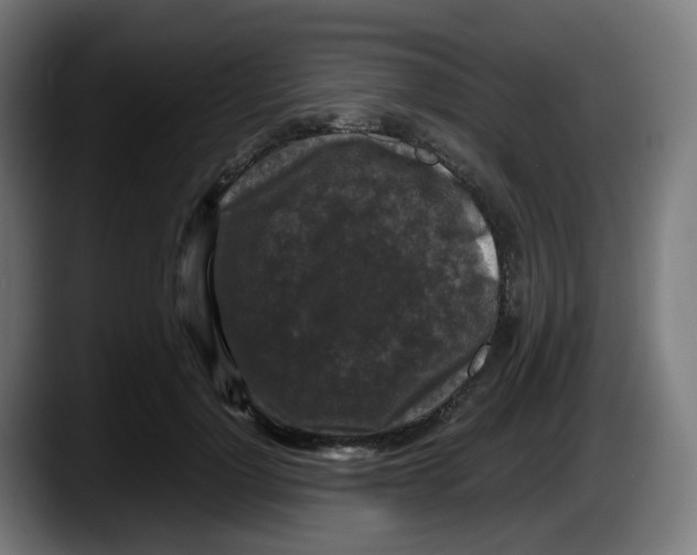 X0000087540748200705251719