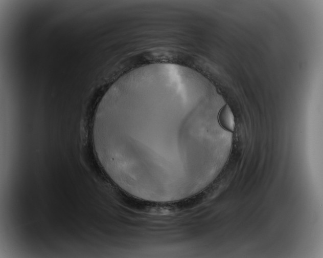 X0000087540751200705251719