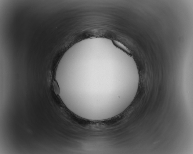 X0000087540752200705251719