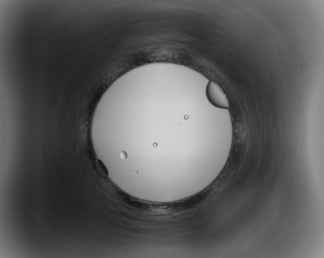 X0000087540753200705251720