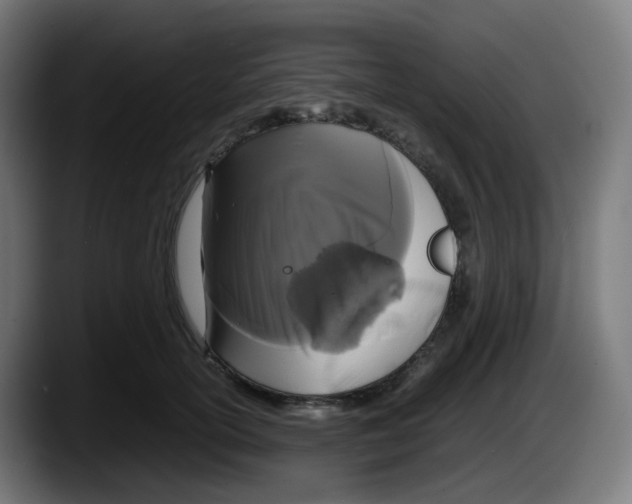 X0000087540754200705251720