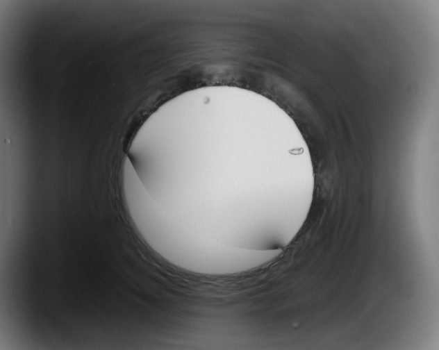 X0000087540756200705251720