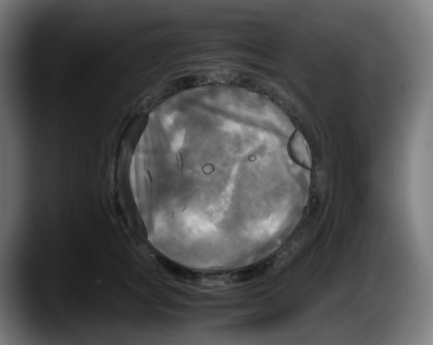 X0000087540757200705251720