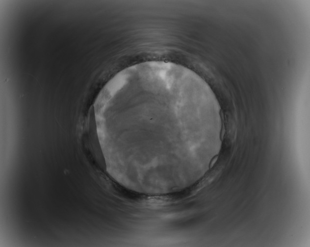 X0000087540758200705251720