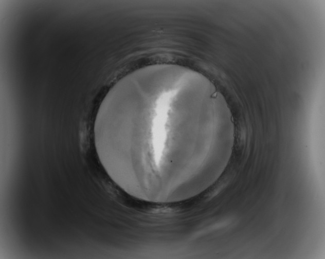 X0000087540759200705251720